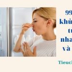 99+ Cách khử mùi hôi tủ lạnh nhanh nhất và dễ nhất