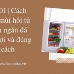 [1001] Cách khử mùi hôi tủ lạnh ngăn đá tiện lợi và đúng cách